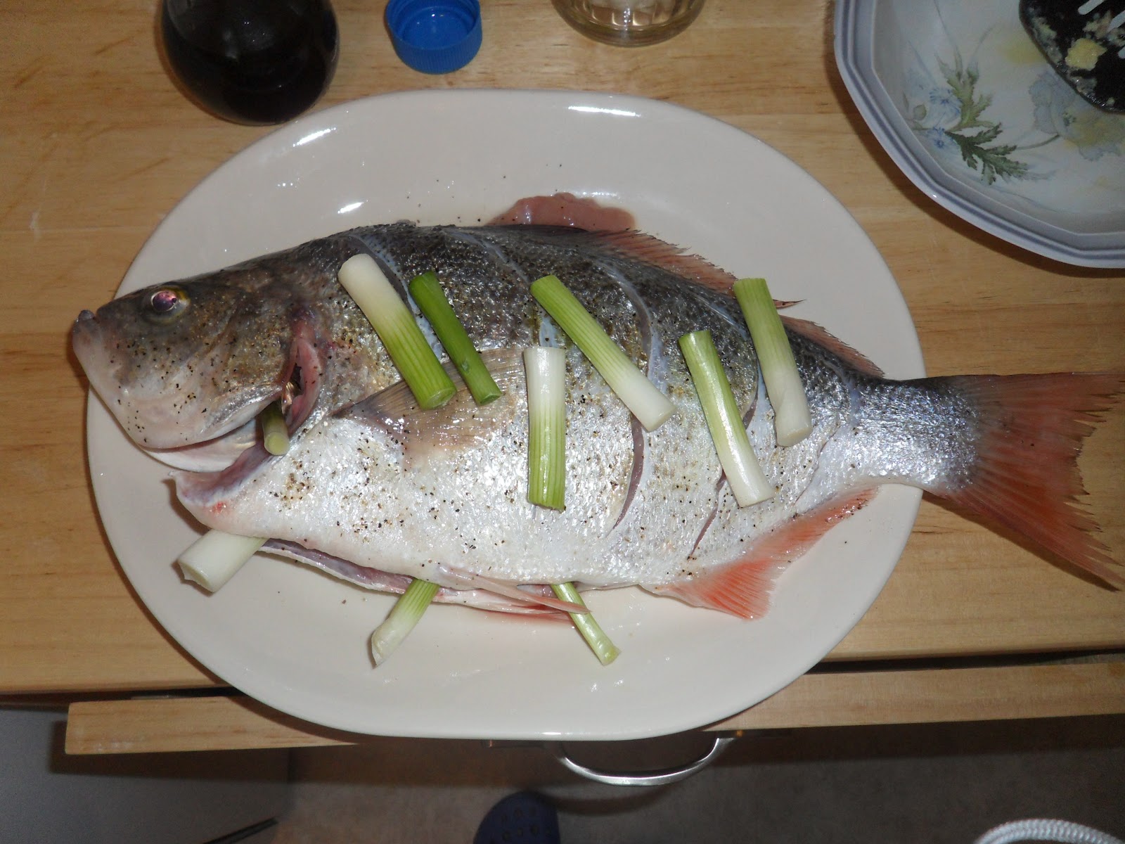 Go Fishing SURF PERCH FISHING