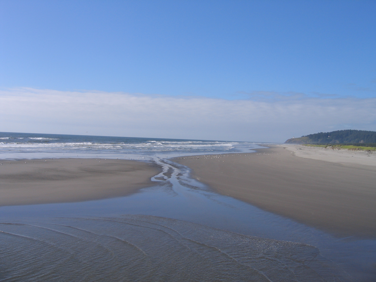 Go Fishing SURF PERCH FISHING