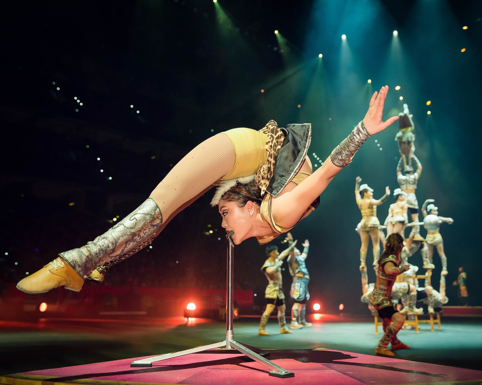 Momma4Life Ringling Bros and Barnum & Bailey Circus Overview